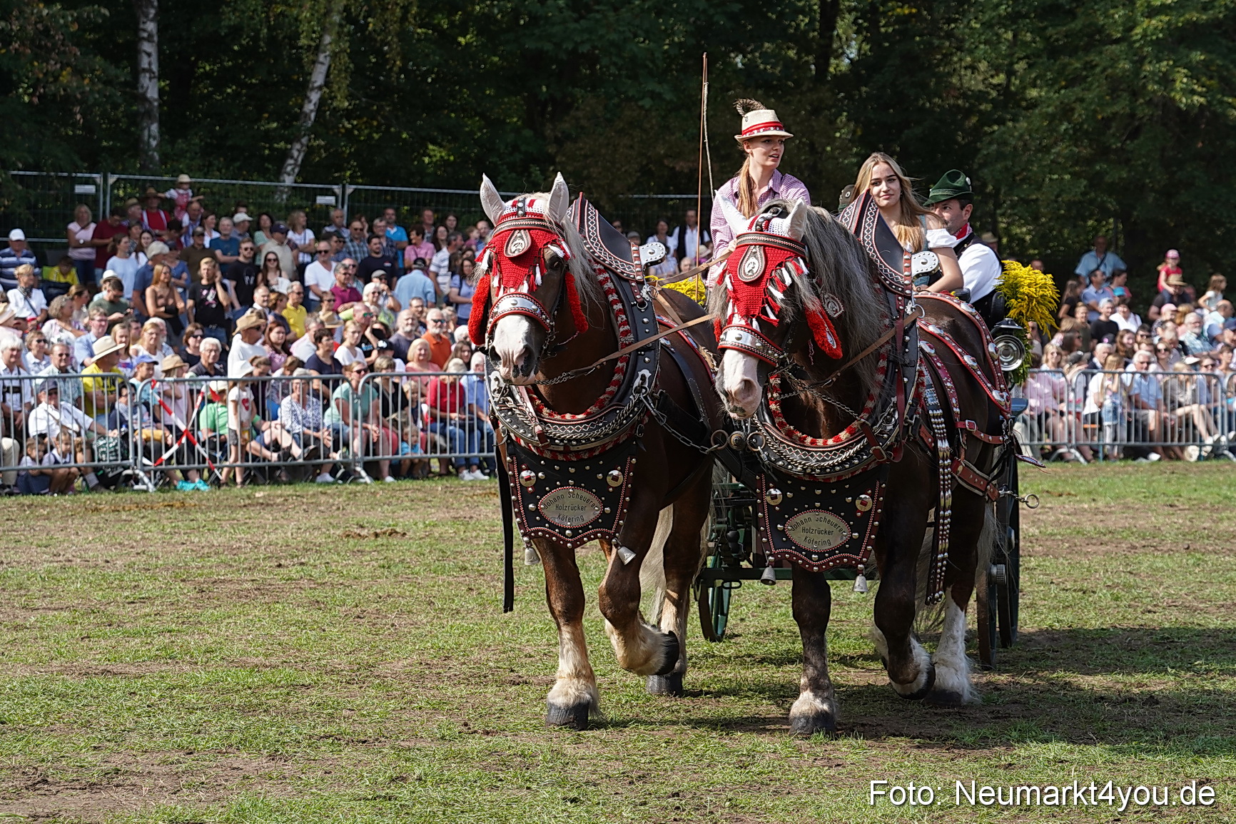 Pferde und Fohlenschau 2022 0228 